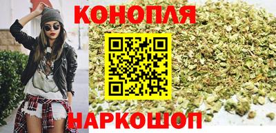 гашик Можга