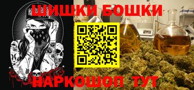 гашик Можга