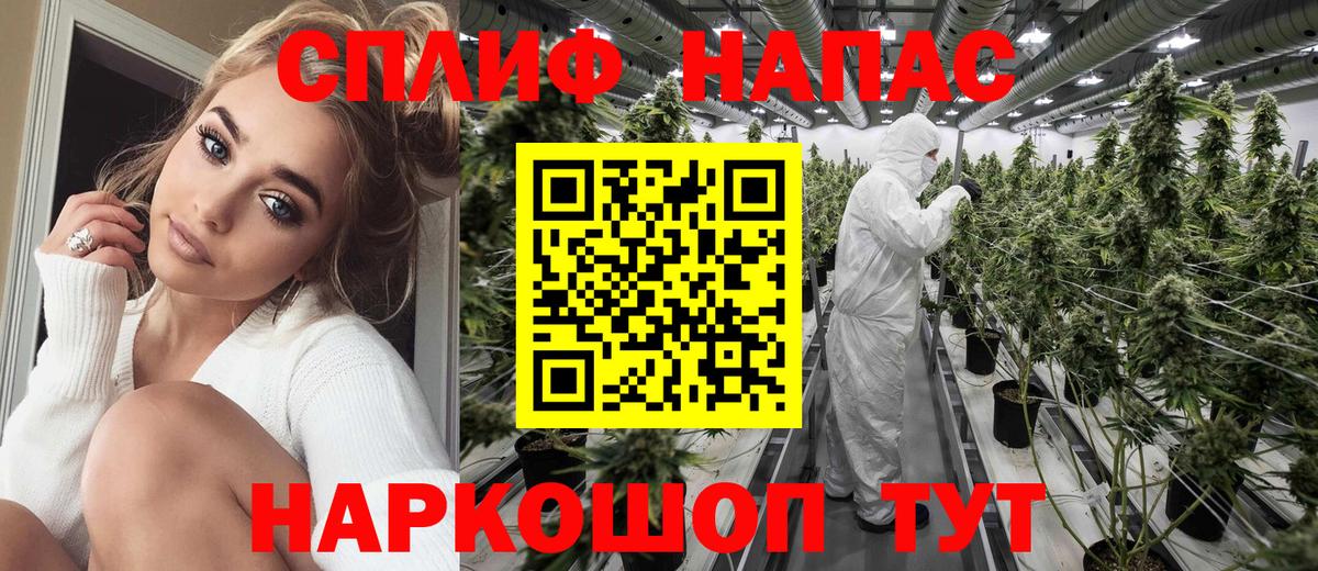 Конопля план  Каннабис конопля  Вход с VPN  Туапсе  Шишки марихуана сатива 